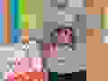 127220386_130550751926538_3775284815512488781_n.jpg
