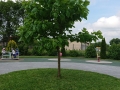 główne.jpg