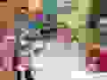 90489341_616434629213623_2577608748495273984_n.jpg