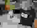 90506315_516247309299229_8038271314416369664_n.jpg