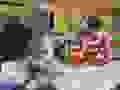 90526761_923054928135779_4161694018423488512_n.jpg