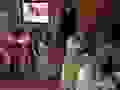 90625032_1462292653952259_797125786740981760_n.jpg