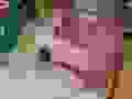 90776457_1099560103744903_2803044228878303232_n.jpg