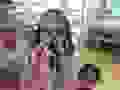90794839_253277075830837_4589252790060056576_n.jpg