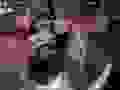 90968533_232909174446858_7914186277556060160_n.jpg