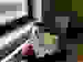 103613850_568649730728214_2935681531905096861_n.jpg