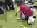 93280422_909071499538808_6499610353050058752_n.jpg