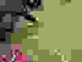 93307304_228979858163994_6106634756865130496_n.jpg
