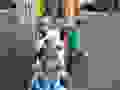 120926399_365396827995461_6167042225397037393_n.jpg