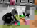 120939533_763853884161214_13913177240711635_n.jpg