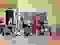120953157_698226981043105_2801193248106177726_n.jpg