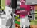 120960549_3232995223493655_3211590286079534101_n.jpg