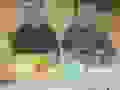 88128617_2221780164797838_7312562823693860864_n.jpg