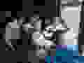 88137745_223536508787476_6460138783261065216_n.jpg