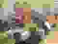 88444863_637702456804056_8374180831190581248_n.jpg